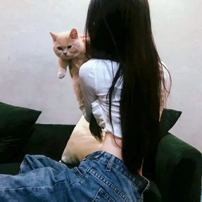 乔省长和他的女儿们
